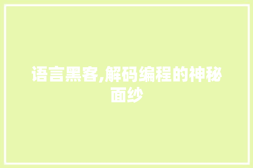语言黑客,解码编程的神秘面纱