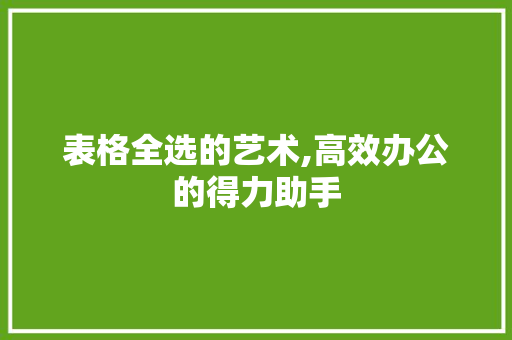表格全选的艺术,高效办公的得力助手