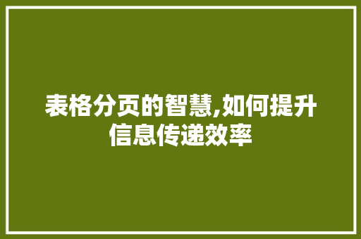 表格分页的智慧,如何提升信息传递效率 编程语言