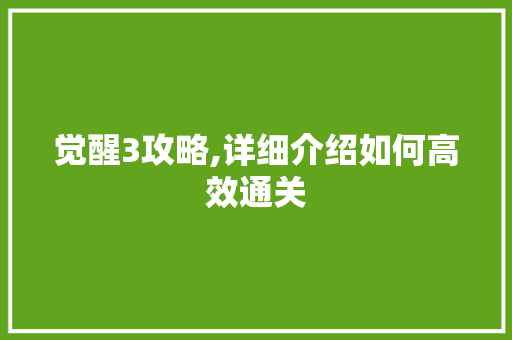 觉醒3攻略,详细介绍如何高效通关
