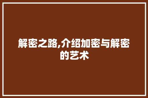 解密之路,介绍加密与解密的艺术 解密之路,介绍加密与解密的艺术