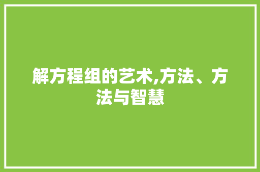 解方程组的艺术,方法、方法与智慧 解方程组的艺术,方法、方法与智慧
