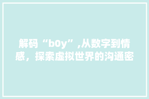 解码“b0y”,从数字到情感，探索虚拟世界的沟通密码