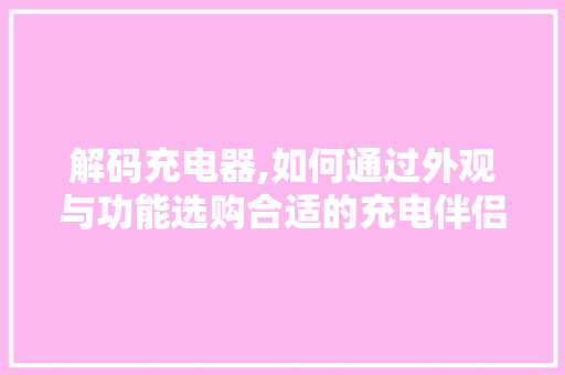 解码充电器,如何通过外观与功能选购合适的充电伴侣 操作系统
