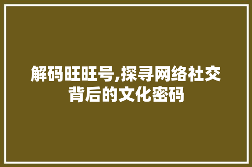 解码旺旺号,探寻网络社交背后的文化密码