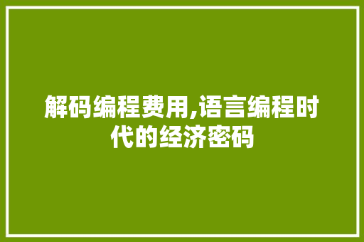 解码编程费用,语言编程时代的经济密码 电脑基础