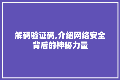 解码验证码,介绍网络安全背后的神秘力量 编程语言 解码验证码,介绍网络安全背后的神秘力量 编程语言