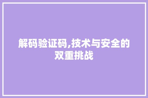 解码验证码,技术与安全的双重挑战 网络技术