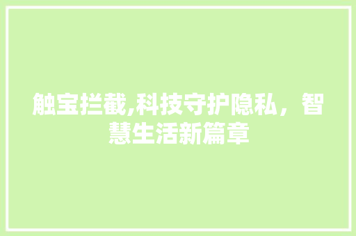 触宝拦截,科技守护隐私,智慧生活新篇章 电脑基础 触宝拦截,科技守护隐私,智慧生活新篇章 电脑基础