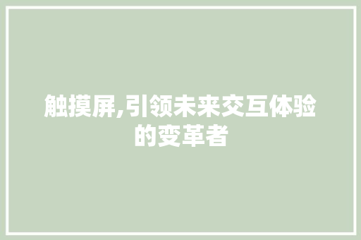 触摸屏,引领未来交互体验的变革者