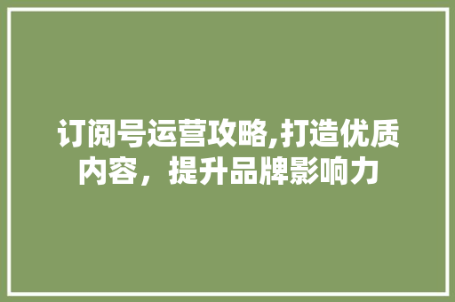 订阅号运营攻略,打造优质内容，提升品牌影响力