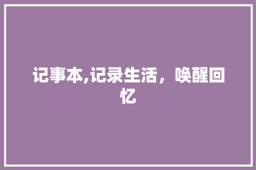 记事本,记录生活，唤醒回忆 电脑基础