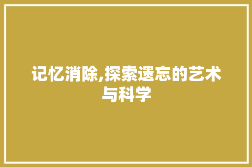 记忆消除,探索遗忘的艺术与科学 电脑故障维修