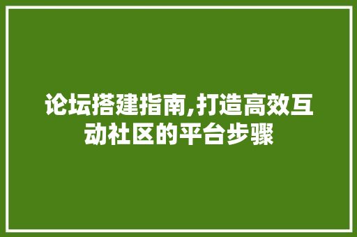 论坛搭建指南,打造高效互动社区的平台步骤