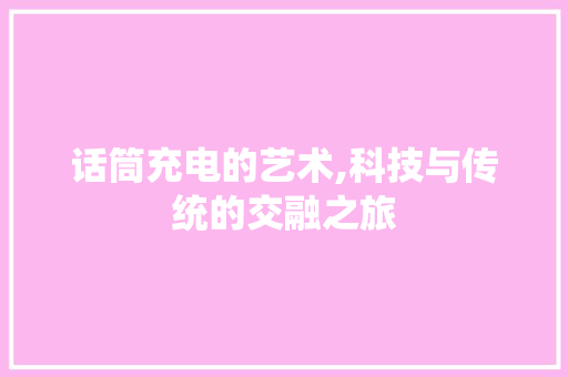 话筒充电的艺术,科技与传统的交融之旅