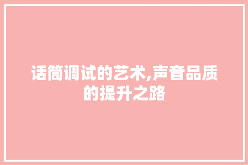 话筒调试的艺术,声音品质的提升之路