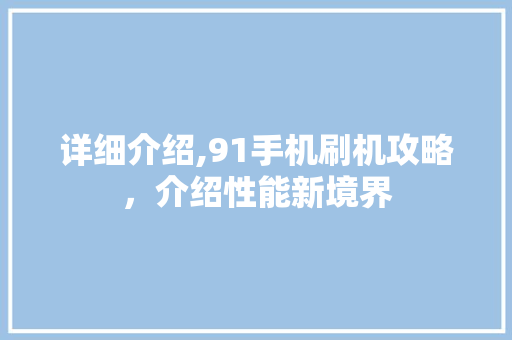 详细介绍,91手机刷机攻略，介绍性能新境界