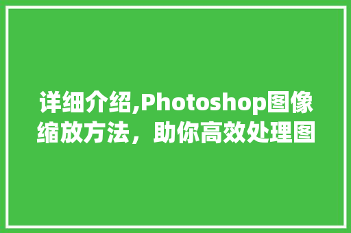 详细介绍,Photoshop图像缩放方法，助你高效处理图片