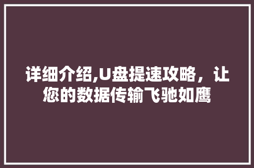 详细介绍,U盘提速攻略，让您的数据传输飞驰如鹰