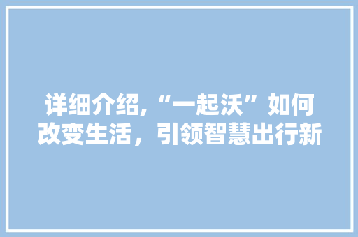 详细介绍,“一起沃”如何改变生活，引领智慧出行新潮流 电脑配置