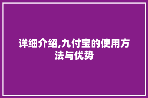 详细介绍,九付宝的使用方法与优势