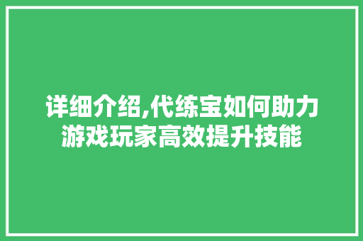 详细介绍,代练宝如何助力游戏玩家高效提升技能 操作系统 详细介绍,代练宝如何助力游戏玩家高效提升技能 操作系统