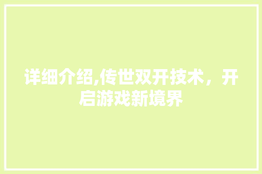 详细介绍,传世双开技术,开启游戏新境界 电脑配置 详细介绍,传世双开技术,开启游戏新境界 电脑配置