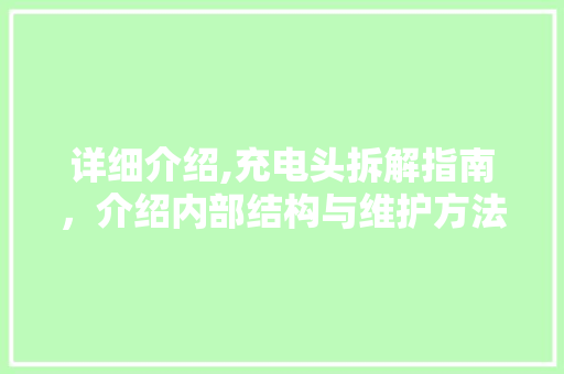 详细介绍,充电头拆解指南，介绍内部结构与维护方法 电脑故障维修