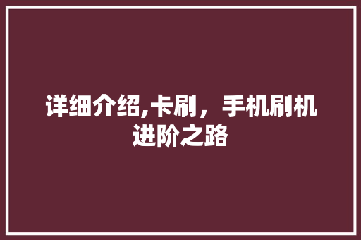 详细介绍,卡刷，手机刷机进阶之路