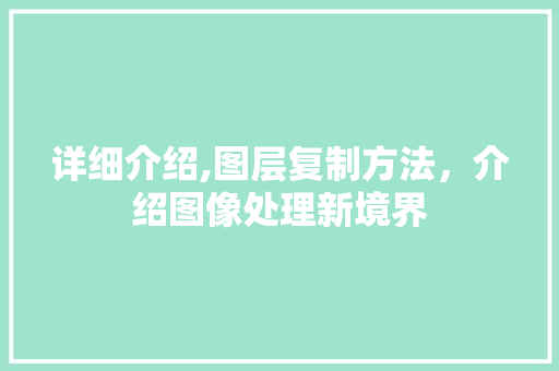 详细介绍,图层复制方法，介绍图像处理新境界 电脑配置
