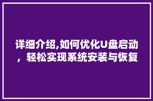 详细介绍,如何优化U盘启动，轻松实现系统安装与恢复