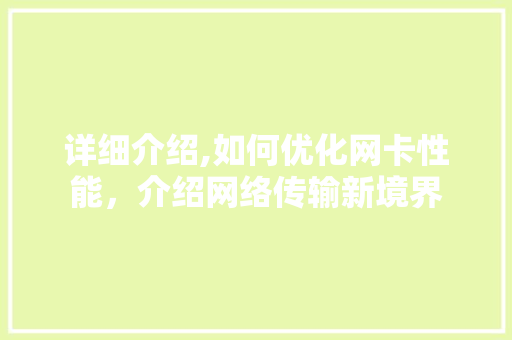 详细介绍,如何优化网卡性能,介绍网络传输新境界 详细介绍,如何优化网卡性能,介绍网络传输新境界