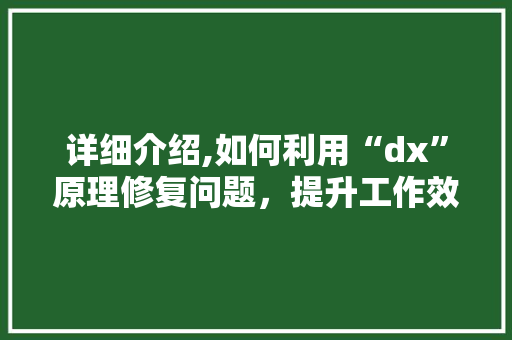 详细介绍,如何利用“dx”原理修复问题，提升工作效率 电脑配置