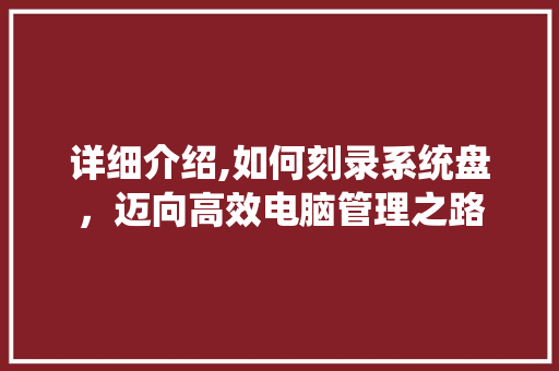 详细介绍,如何刻录系统盘，迈向高效电脑管理之路