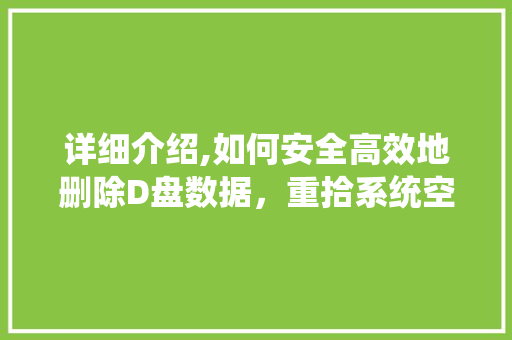 详细介绍,如何安全高效地删除D盘数据，重拾系统空间