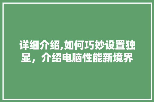 详细介绍,如何巧妙设置独显，介绍电脑性能新境界