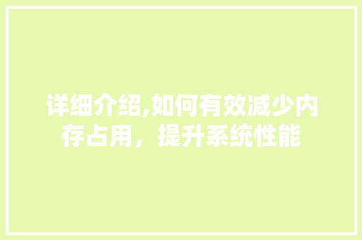 详细介绍,如何有效减少内存占用，提升系统性能