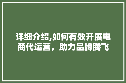 详细介绍,如何有效开展电商代运营，助力品牌腾飞