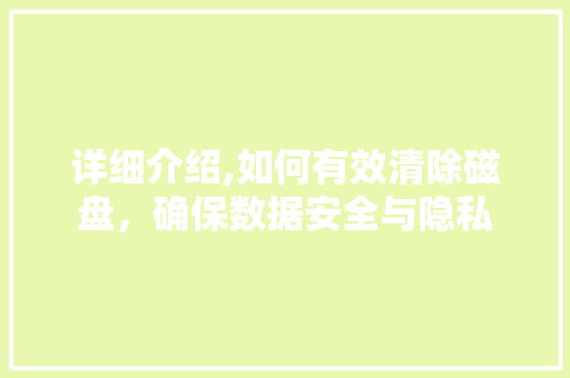 详细介绍,如何有效清除磁盘，确保数据安全与隐私