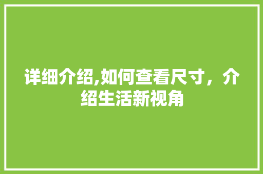 详细介绍,如何查看尺寸，介绍生活新视角