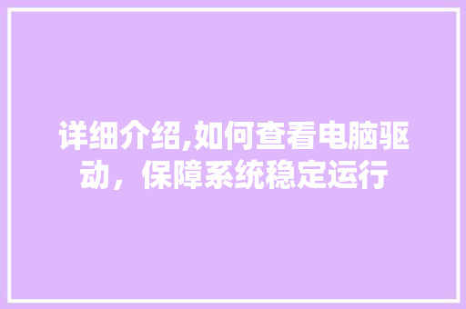 详细介绍,如何查看电脑驱动，保障系统稳定运行