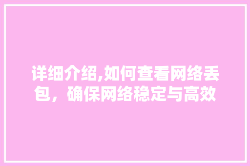 详细介绍,如何查看网络丢包，确保网络稳定与高效
