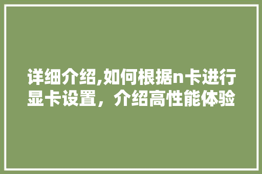 详细介绍,如何根据n卡进行显卡设置，介绍高性能体验