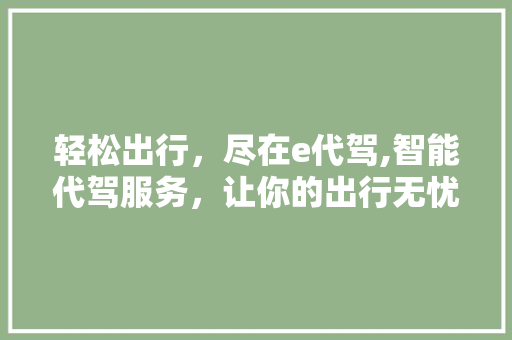 轻松出行，尽在e代驾,智能代驾服务，让你的出行无忧 操作系统