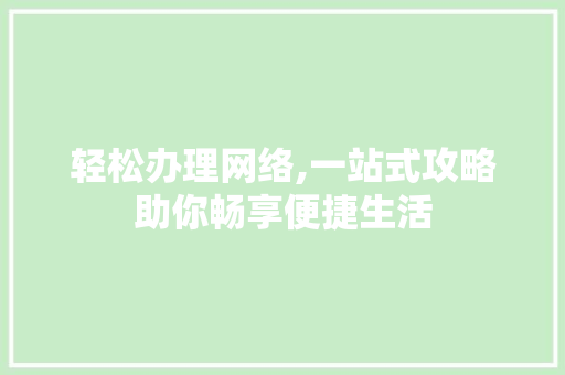 轻松办理网络,一站式攻略助你畅享便捷生活