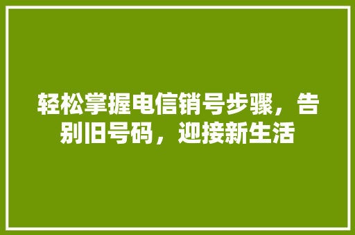 轻松掌握电信销号步骤,告别旧号码,迎接新生活 轻松掌握电信销号步骤,告别旧号码,迎接新生活