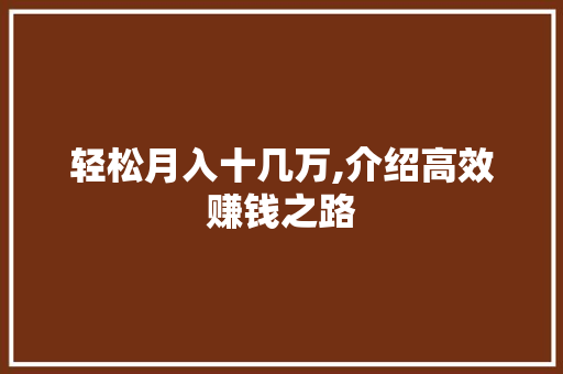 轻松月入十几万,介绍高效赚钱之路