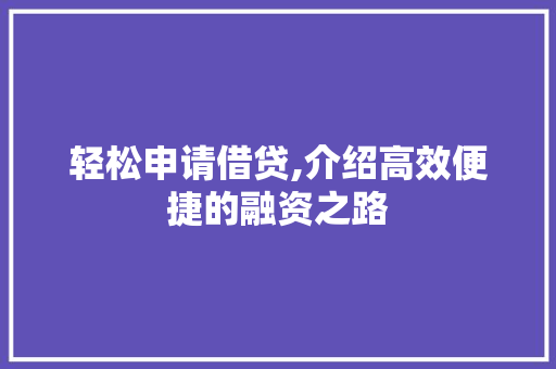 轻松申请借贷,介绍高效便捷的融资之路