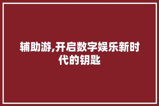 辅助游,开启数字娱乐新时代的钥匙 编程语言