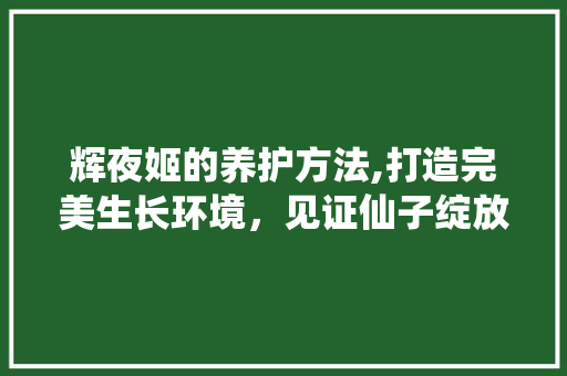 辉夜姬的养护方法,打造完美生长环境，见证仙子绽放